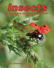 Insects: A Compare and Contrast Book