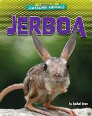 Jerboa