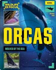 Orcas: Wolves of the Sea