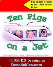 Ten Pigs on a Jet