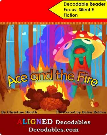 Ace and the Fire book