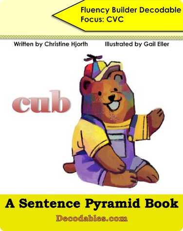 Fluency Builder "Cub" book