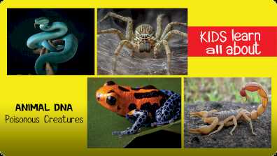 Animal DNA - Poisonous Creatures book