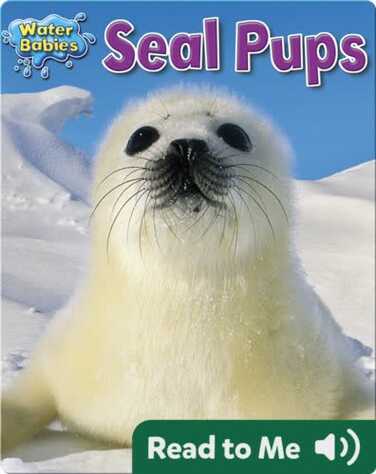 Seal Pups book