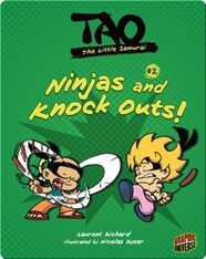 Tao, The Little Samurai: Ninjas and Knock Outs!