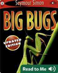 Big Bugs