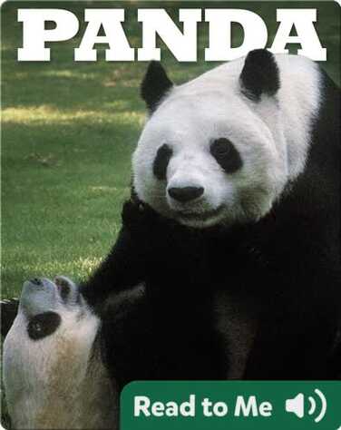 Panda book