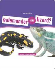 Salamander or Lizard?