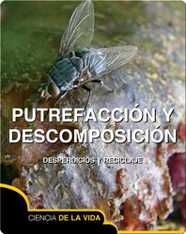 Putrefacción y descomposición