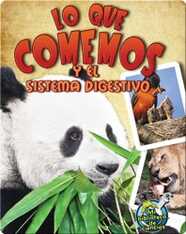 Lo que comemos y el sistema digestivo