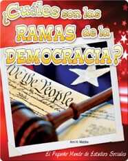 ¿Cuáles son las ramas de la democracia?