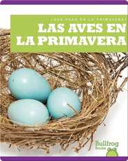 Las aves en la primavera