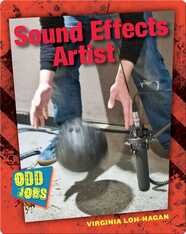 Sound Effects Artist
