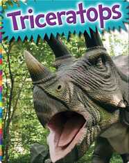 Triceratops
