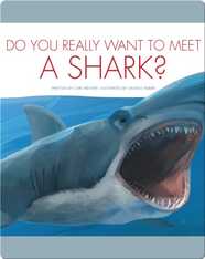 Do You Really Want To Meet A Shark?