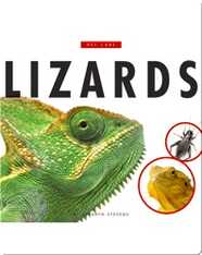 Lizards
