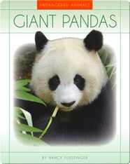 Giant Pandas