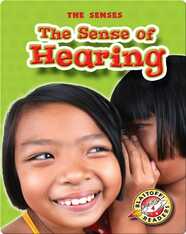 The Sense of Hearing