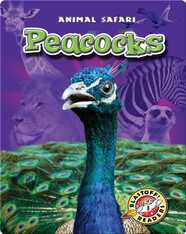 Peacocks