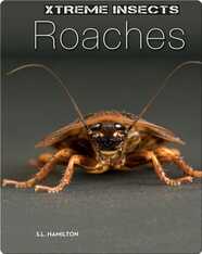 Roaches