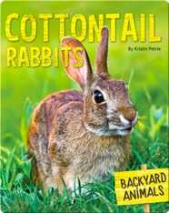 Cottontail Rabbits