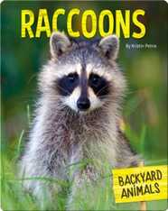 Raccoons