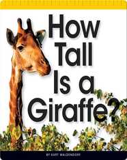 How Tall Is a Giraffe?