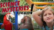 Why Can't We Talk to Animals? | SCIENCE MYSTERIES REVEALED