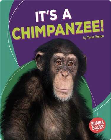 It's a Chimpanzee! book