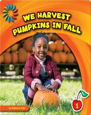 We Harvest Pumpkins in Fall