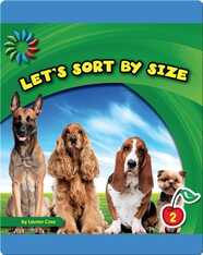 Let's Sort by Size