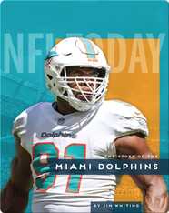 The Story of the Miami Dolphins