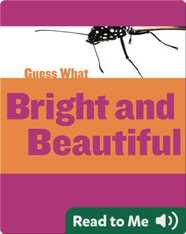 Bright and Beautiful