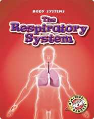 The Respiratory System