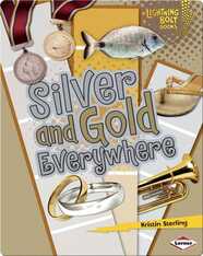 Silver and Gold Everywhere
