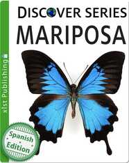 Mariposa