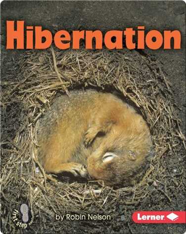 Hibernation book