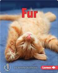Fur