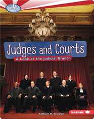 Judges and Courts: A Look at the Judicial Branch