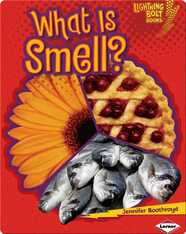 What Is Smell?