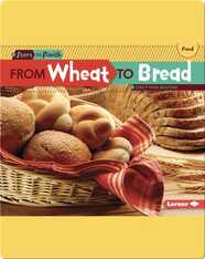 From Wheat to Bread
