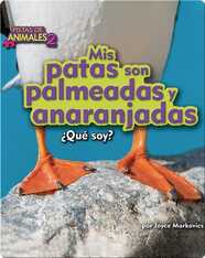 Mis patas son palmeadas y anaranjadas (puffin)