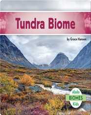 Tundra Biome