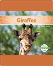 Giraffes