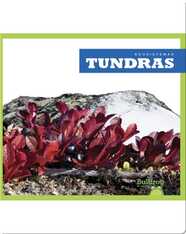 Tundras (Tundras)