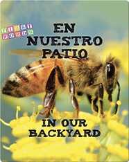 En nuestro patio / In Our Backyard