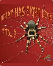What Has Eight Legs And… ?