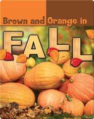 Brown and Orange in Fall