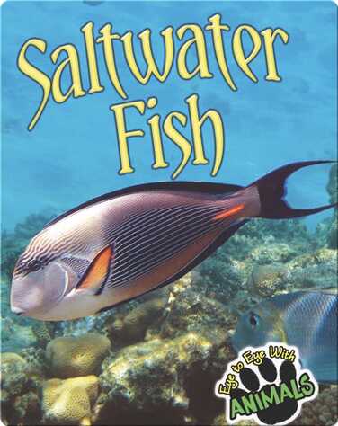 Saltwater Fish book