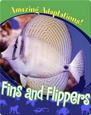 Fins and Flippers